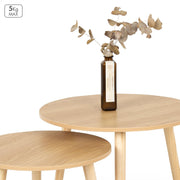 V3H47A152A4613C6C8B7A125AEFDCD0C879R7539545P3