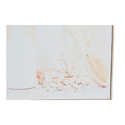 V11HE15B062F38FB5385C9A0431EDDF12A2AR5660108P3