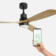 V7H932EEF6C1B2D4ADA1CDCD1B47BD7DC7AR4520126P4