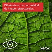 V3H0417DEDBE581D362DDABD326D64974C2R5580554P8