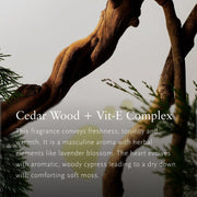 V3H2C8416C0648A14F6371C1D646EDE8BAAR7424992P3