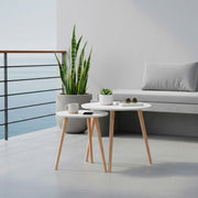 V2H84F64FD697E9FEDAE970D84502810C1DR7515854P7